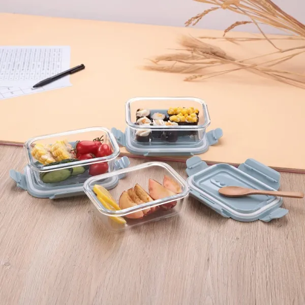 Glass Airtight Container Set For Food Storage Leak Proof | Air Tight Lunch Box for Office, Fridge School | Durable Borosilicate Glass