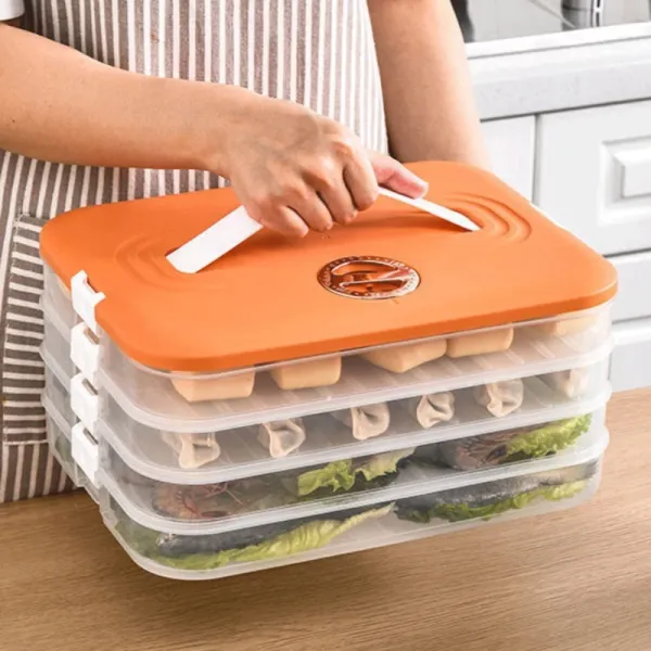 Momo Dumplings Storage Box 4 Layer