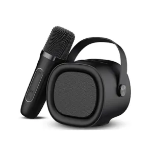 Havit SK819BT Mini Portable Karaoke Bluetooth Speaker with Microphone