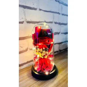 Eternal Rose in Glass Dome with LED Lights