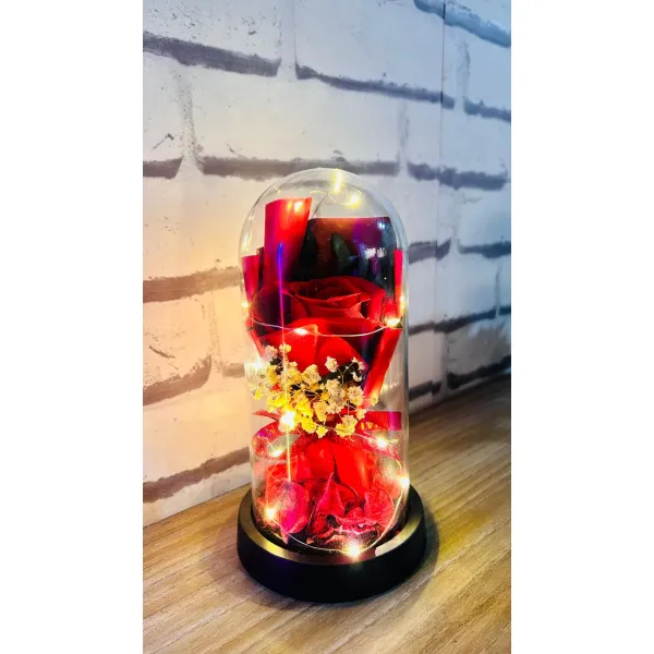 Eternal Rose in Glass Dome with LED Lights
