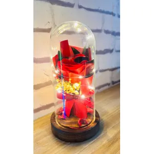 Valentines Day Gifts for Her, Beauty and The Beast , Flower Rose Gift, Girlfriend Valentines Day Gifts, Birthday Gift, Gifts for Couples Unique