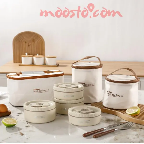 Stainless Steel Insulated Lunch Box With Compartments, Large Size 5 Compartments With Soup Bowl Spoon Fork