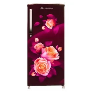 205 Liter Single Door Refrigerator