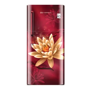 Meridia 182 Liter Single Door Refrigerator