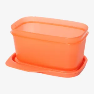 Signoraware Container | Fresh Container | 160 ml | Orange