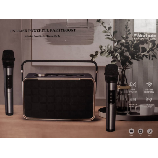 AS 300 Wireless Speaker System