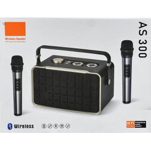 AS 300 Wireless Speaker System